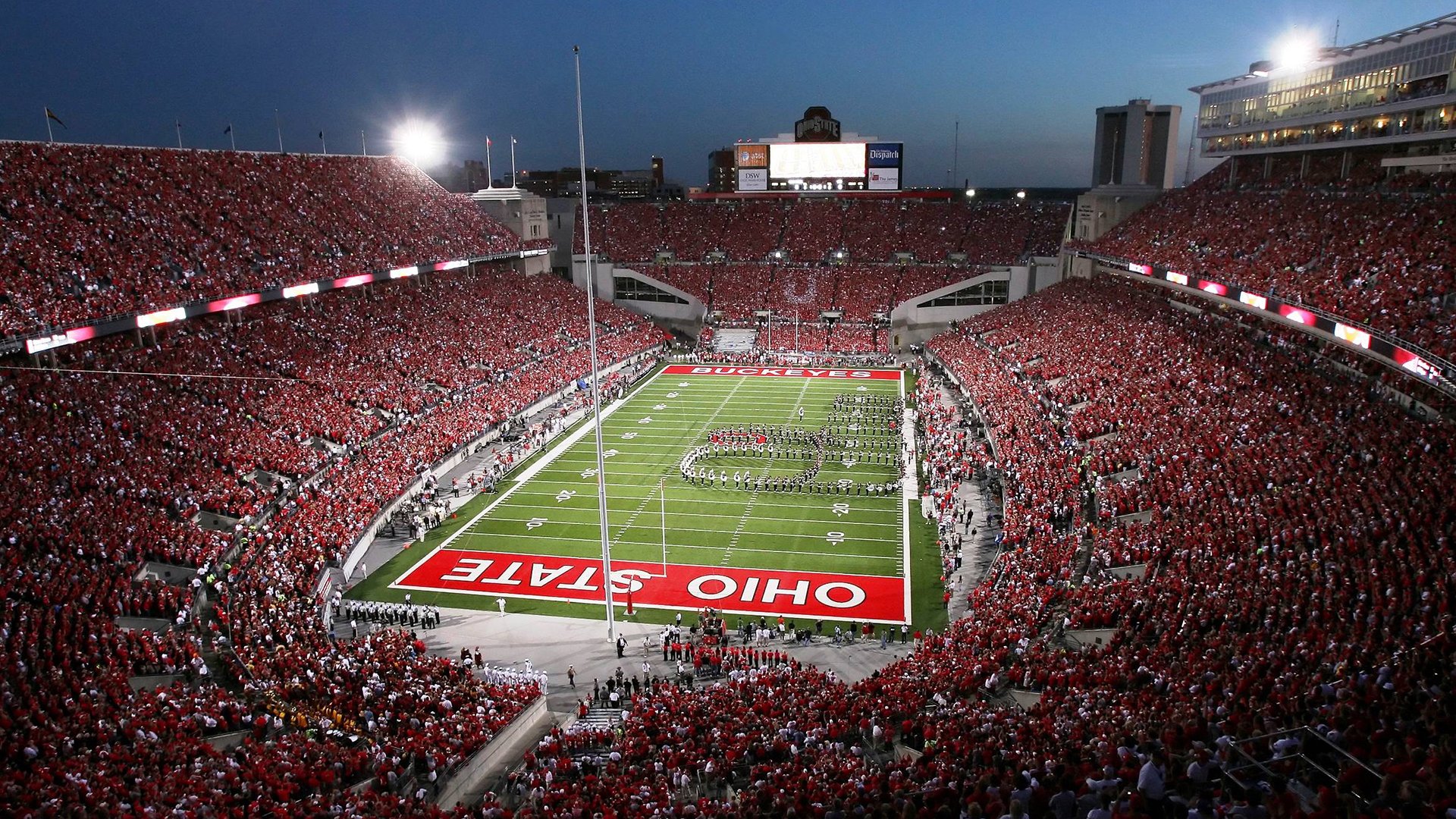 黄蜂掀翻猛龙,福克斯在F1街道赛接管比赛,跨界隐喻中的逆袭哲学